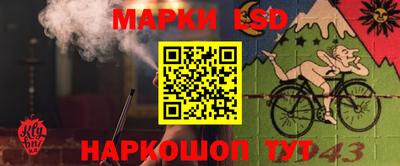 индика Пушкино