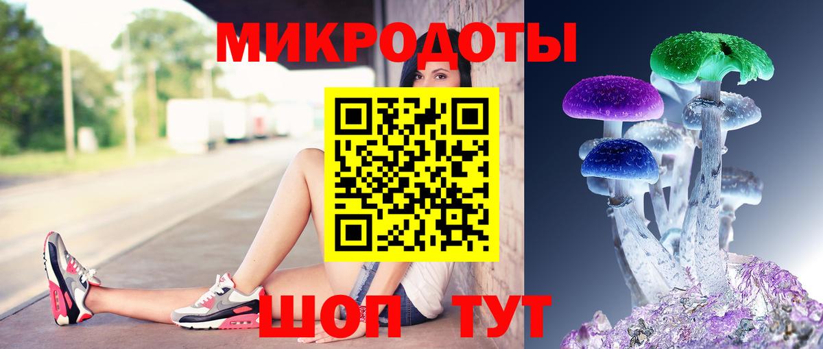Псилоцибиновые грибы Psilocybe Сатка